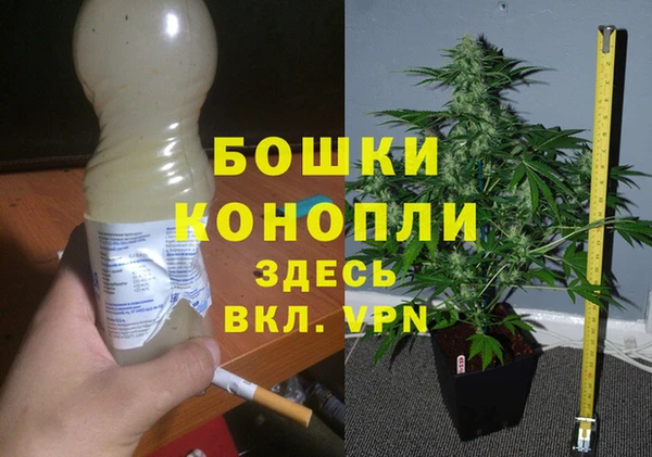гидропоника Бородино