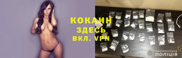 мдпв Верея