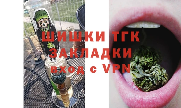 мдпв Верея